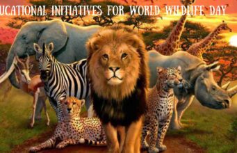 Educational Initiatives for World Wildlife Day: Raising Awareness and Inspiring Action Educational Initiatives for World Wildlife Day