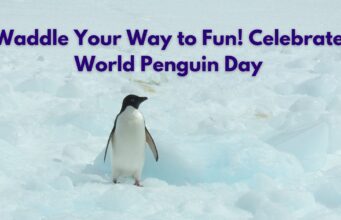 Waddle Your Way to Fun! Celebrate World Penguin Day Waddle Your Way to Fun! Celebrate World Penguin Day