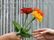 Celebrate World Give Day: 3 Simple Ways to Get Involved Celebrate World Give Day