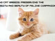 Saving Cat Breeds: Preserving the Diversity and Beauty of Feline Companions Saving Cat Breeds