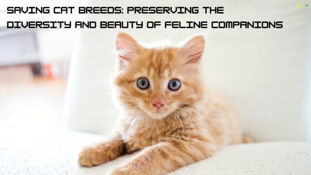 Saving Cat Breeds