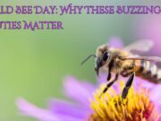 World Bee Day: Why These Buzzing Beauties Matter World Bee Day: Why These Buzzing Beauties Matter