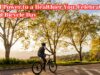 Pedal Power to a Healthier You: Celebrate World Bicycle Day Pedal Power to a Healthier You Celebrate World Bicycle Day