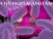 Join the Fight Against Rabies Join the Fight Against Rabies