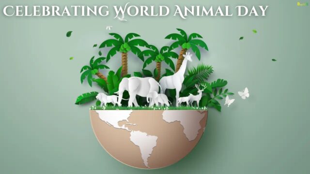 Celebrating World Animal Day