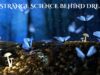The Strange Science Behind Dreams The Strange Science Behind Dreams
