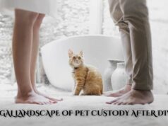 The Legal Landscape of Pet Custody After Divorce The Legal Landscape of Pet Custody After Divorce