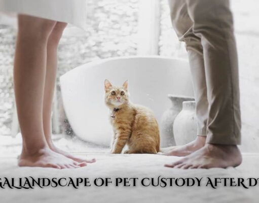 The Legal Landscape of Pet Custody After Divorce The Legal Landscape of Pet Custody After Divorce