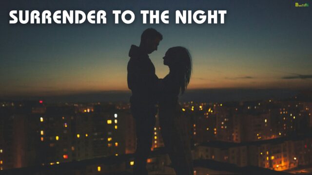 Surrender to the Night