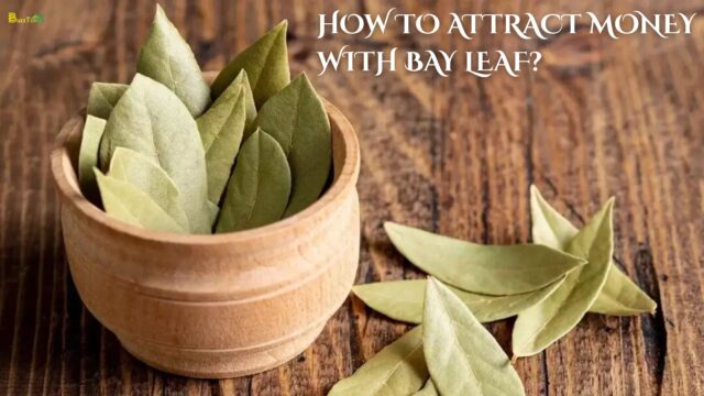 How to Attract Money with Bay Leaf