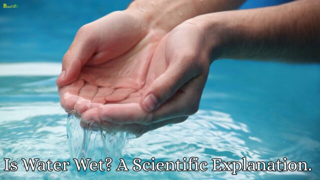 Is Water Wet? A Scientific Explanation