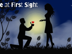 Love at First Sight Love at First Sight