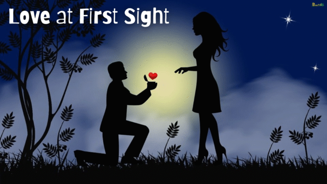 Love at First Sight