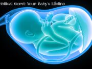 The Umbilical Cord: Your Baby’s Lifeline The Umbilical Cord Your Baby's Lifeline
