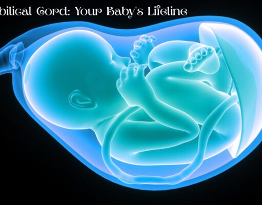 The Umbilical Cord: Your Baby’s Lifeline The Umbilical Cord Your Baby's Lifeline