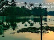 Awaken Your Senses: Village Good Morning Nature Images Awaken Your Senses Village Good Morning Nature Images