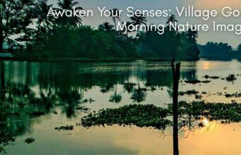 Awaken Your Senses: Village Good Morning Nature Images Awaken Your Senses Village Good Morning Nature Images