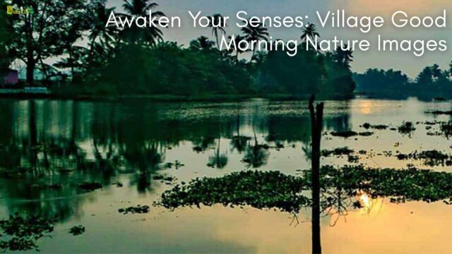 Awaken Your Senses Village Good Morning Nature Images
