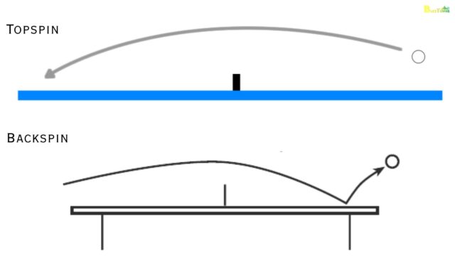 Topspin vs. Backspin