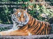 Zoo Stories: The Art of Zoo Protecting Endangered Species Zoo Stories The Art of Zoo Protecting Endangered Species