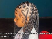 Heartfelt Elegance: Embracing the Charm of Fulani Braids with Heart-Shaped Accents Heartfelt Elegance Embracing the Charm of Fulani Braids with Heart-Shaped Accents