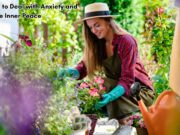 Calming Pursuits: Hobbies to Deal with Anxiety and Cultivate Inner Peace Hobbies to Deal with Anxiety and Cultivate Inner Peace