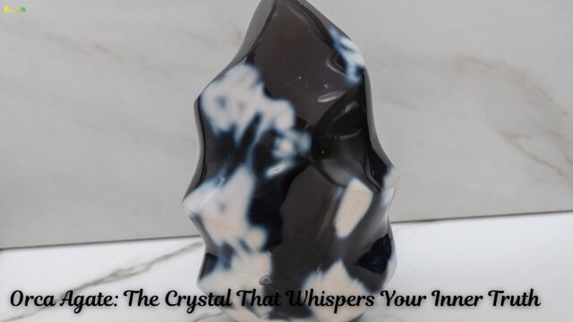 Orca Agate The Crystal That Whispers Your Inner Truth