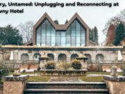 🌿 Luxury, Untamed: Unplugging and Reconnecting at The Tawny Hotel 🌿 Luxury, Untamed Unplugging and Reconnecting at The Tawny Hotel