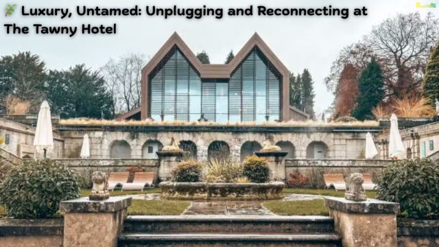 🌿 Luxury, Untamed Unplugging and Reconnecting at The Tawny Hotel