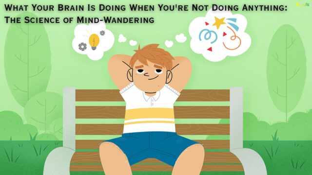 What Your Brain Is Doing When You're Not Doing Anything The Science of Mind-Wandering