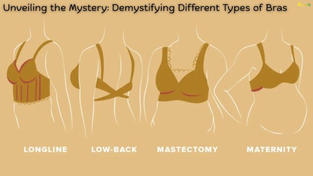 Unveiling the Mystery Demystifying Different Types of Bras