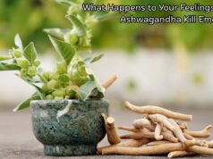 What Happens to Your Feelings? Does Ashwagandha Kill Emotions? What Happens to Your Feelings Does Ashwagandha Kill Emotions