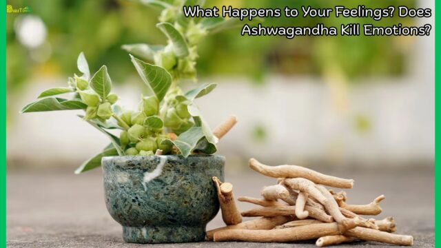 What Happens to Your Feelings Does Ashwagandha Kill Emotions