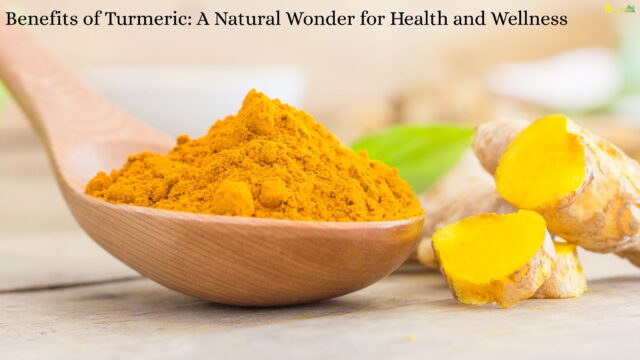 Benefits of Turmeric A Natural Wonder for Health and Wellness