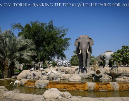 Best Zoo in California: Ranking the Top 10 Wildlife Parks for 2026 Best Zoo in California Ranking the Top 10 Wildlife Parks for 2026