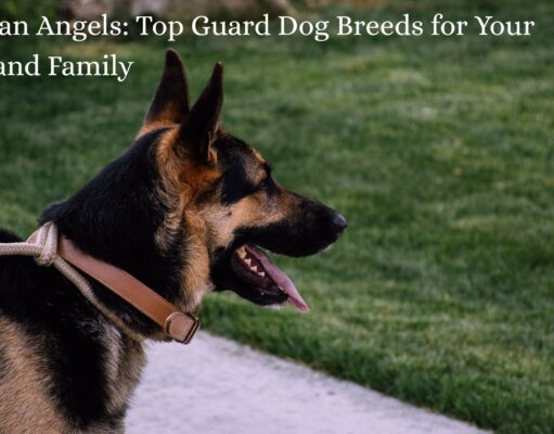 Guardian Angels: Top Guard Dog Breeds for Your Home and Family Guardian Angels Top Guard Dog Breeds for Your Home and Family