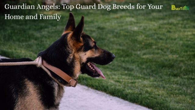 Guardian Angels Top Guard Dog Breeds for Your Home and Family