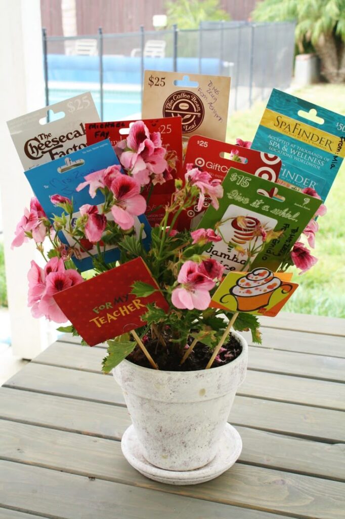 Sustainable Gardner