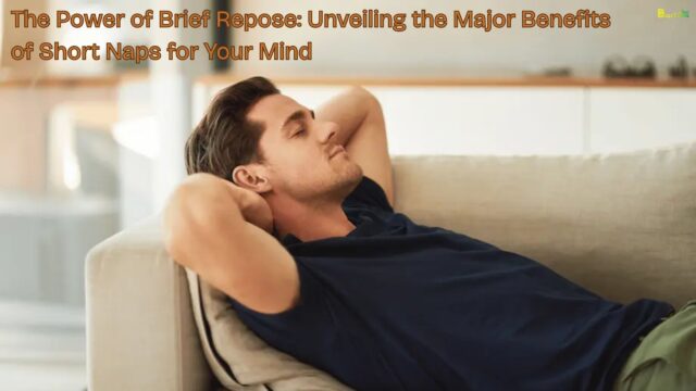 The Power of Brief Repose Unveiling the Major Benefits of Short Naps for Your Mind The Power of Brief Repose Unveiling the Major Benefits of Short Naps for Your Mind